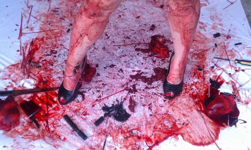 966375_10151660414231068_171496328_o