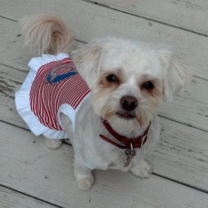 10369746_10152153972252393_5629649559109582217_n